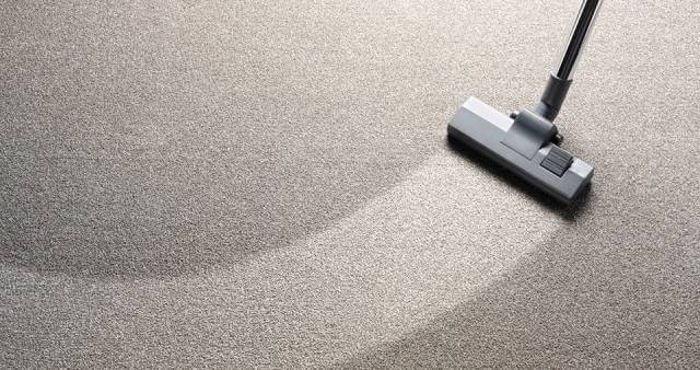 carpet cleaning services 1 1 Paktin | پاکتین