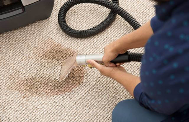professional carpet cleaner cleaning carpet stain jpg 600x390 1 Paktin | پاکتین